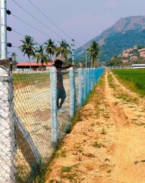 WhatsApp Image 2026-02-11 at 4.35.43 PM (2)