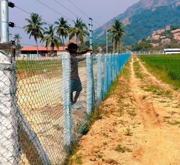 WhatsApp Image 2026-02-11 at 4.35.43 PM (2)
