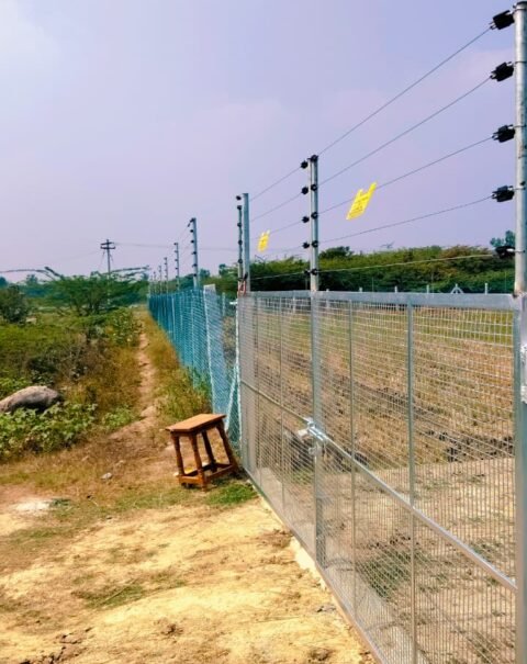 WhatsApp Image 2026-02-11 at 4.35.44 PM (2)