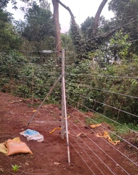 WhatsApp Image 2026-02-11 at 3.24.52 PM (1)
