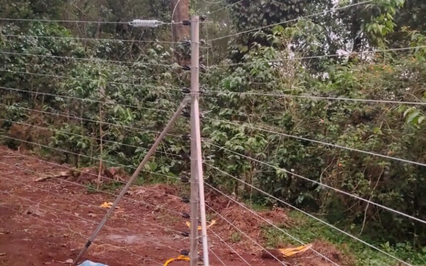 WhatsApp Image 2026-02-11 at 3.24.52 PM (1)