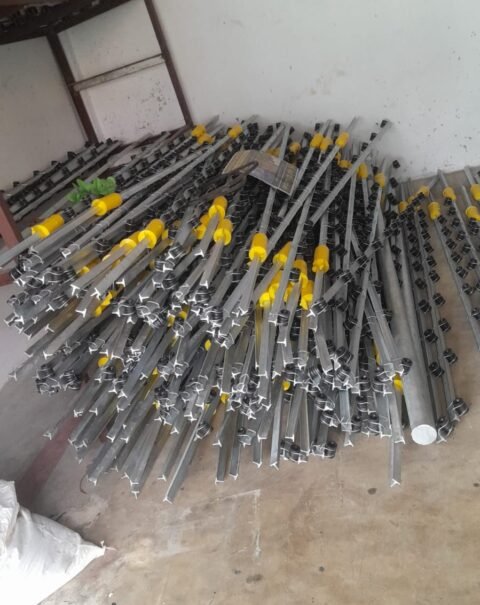 WhatsApp Image 2026-02-11 at 3.24.52 PM (2)