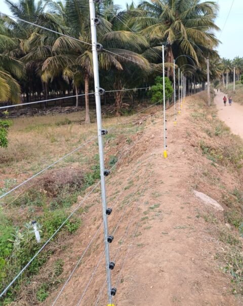 WhatsApp Image 2026-02-11 at 3.24.54 PM (1)