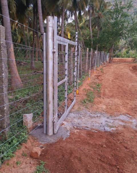 WhatsApp Image 2026-02-11 at 3.24.57 PM