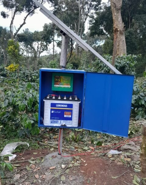 WhatsApp Image 2026-02-11 at 3.38.51 PM (1)