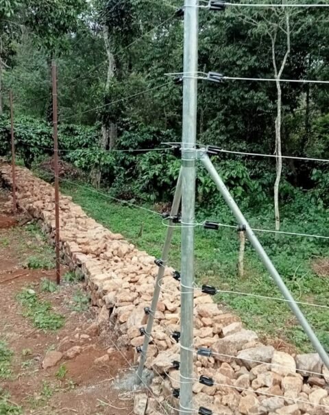 WhatsApp Image 2026-02-11 at 3.45.09 PM (1) (1)