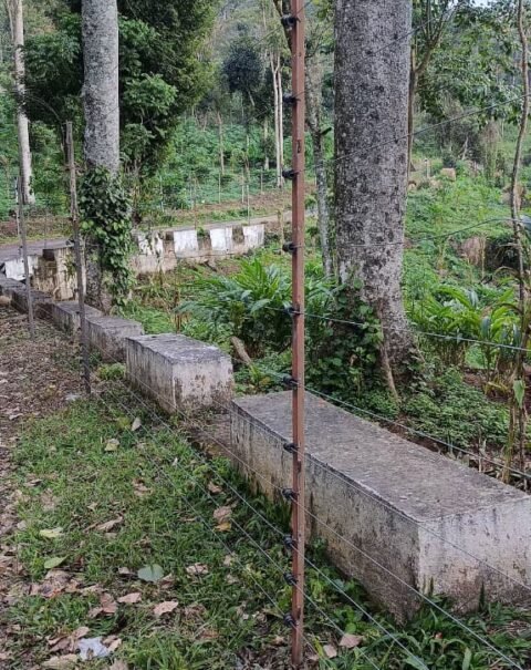 WhatsApp Image 2026-02-11 at 3.45.12 PM (3)