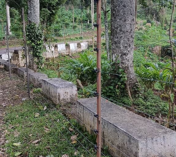 WhatsApp Image 2026-02-11 at 3.45.12 PM (3)