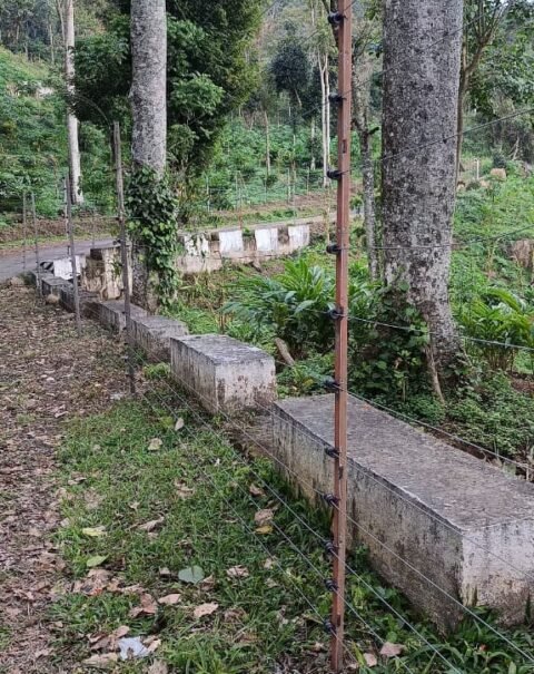 WhatsApp Image 2026-02-11 at 3.45.13 PM