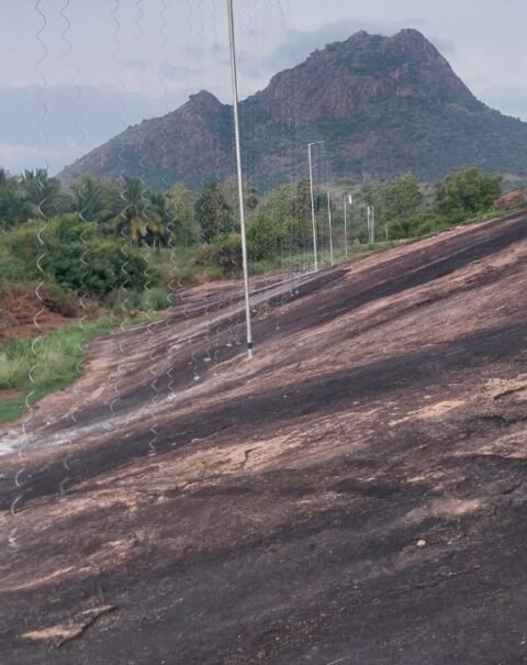 WhatsApp Image 2026-04-29 at 3.11.38 PM (1)