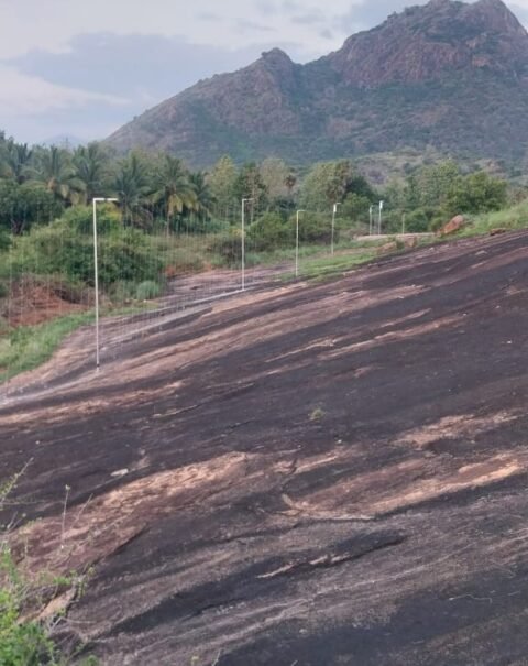 WhatsApp Image 2026-04-29 at 3.11.39 PM