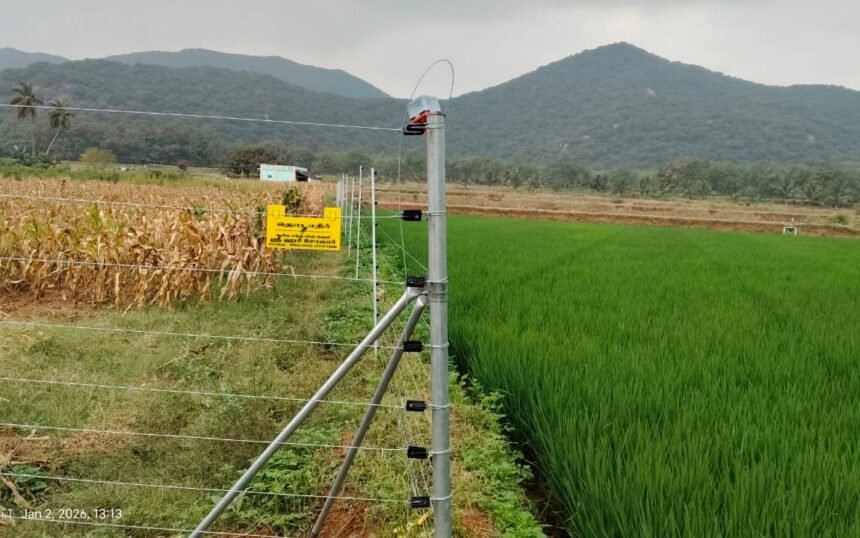 agriculture fencing